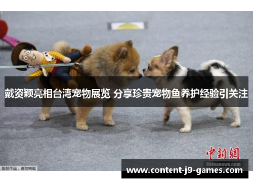 戴资颖亮相台湾宠物展览 分享珍贵宠物鱼养护经验引关注